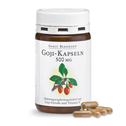 Goji Berry Extrakt 500 mg 90 kapslí