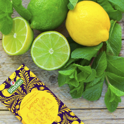 Černý čaj - Stassen Lemon Black Black Tea 25 x 1,5 g